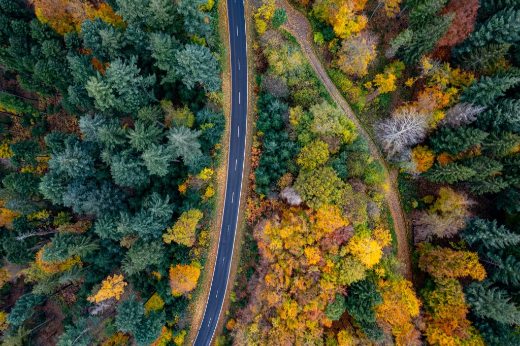 an aerial view of a road surrounded by trees Environmental Conservation Empowering Journeys