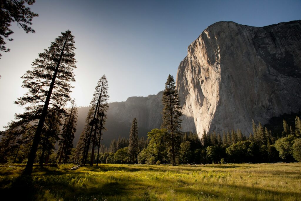 landmark photography of trees near rocky mountain under blue skies daytime Communicing with Nature Immersed in Tradition