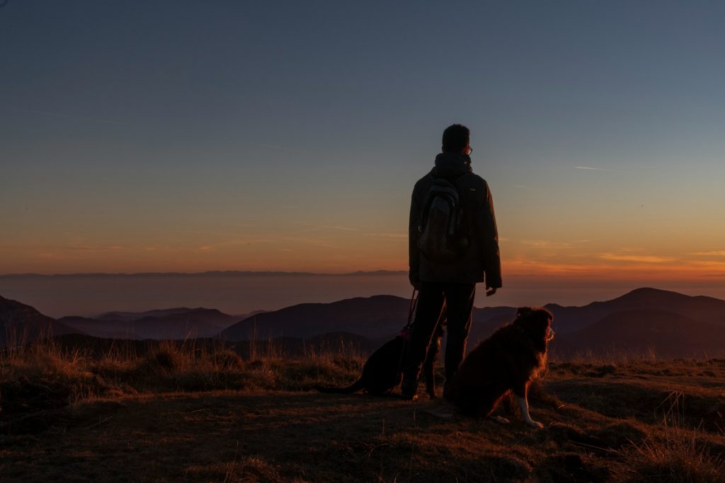 a man standing on top of a hill next to a dog Traveling with Pets