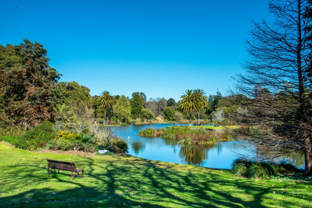 brown wooden bench near green grass field and lake during daytime Royal Botanic Gardens, Melbourne Exploring Botanical Gardens
