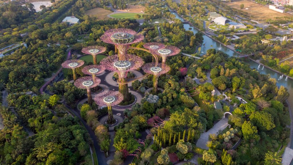 aerial view of trees, river, and architectural landmark Singapore Botanic Gardens Exploring Botanical Gardens
