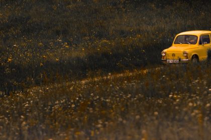 yellow 3-door hatchback between plant fields