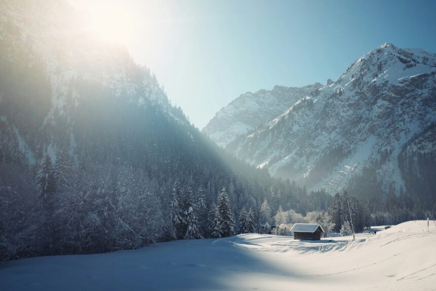 Winter's Wonders snowy mountain surrounded with trees