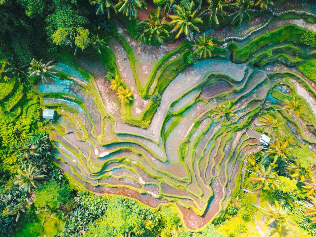 aerial photography of rice terraces during daytime extra layer World of Web Games