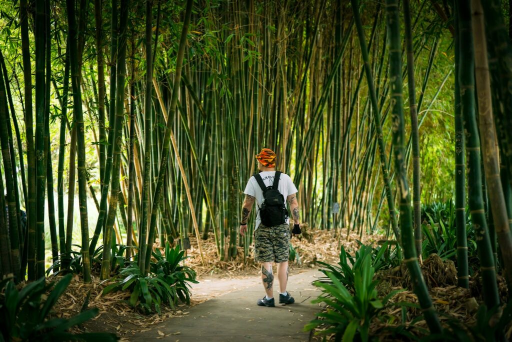 man in white shirt and black pants standing on pathway between bamboo trees during daytime Visitor Services My Free Zoo