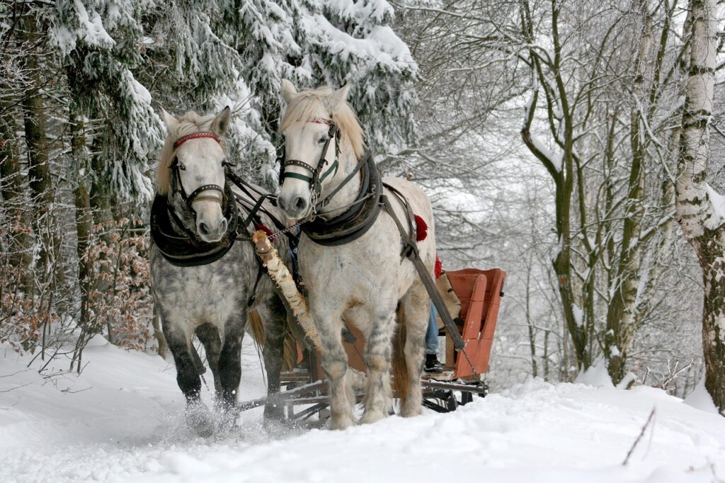 sleigh ride, horses, winter Winter Clash 3D