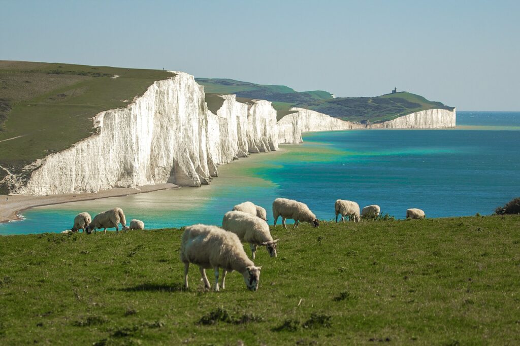 seven sisters, panorama, the sea Seven Tetriminos Tetris Classic