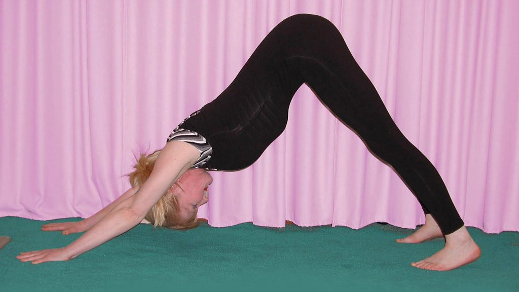 Adho Mukha Svanasana. 10 Powerful Yoga Poses to Boost Your Energy