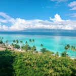 a view of a tropical island with palm trees