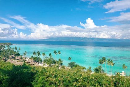 a view of a tropical island with palm trees