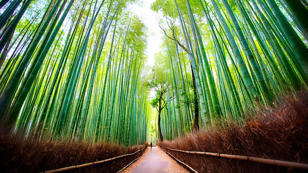 Kyoto, Japan