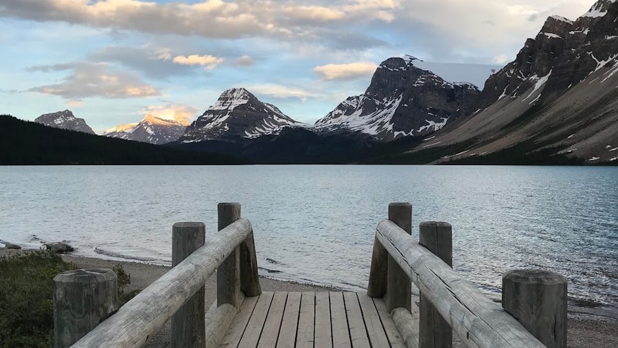 brown dock under white sky. 5 Best Family-Friendly Vacation Destinations in 2024