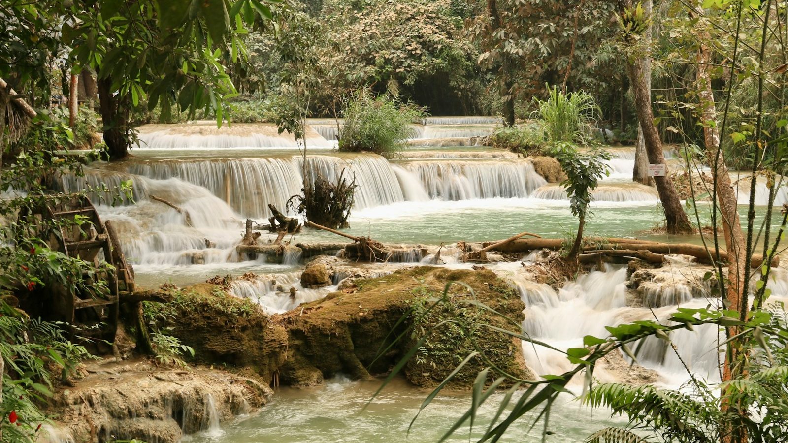 a small waterfall in the middle of a forest