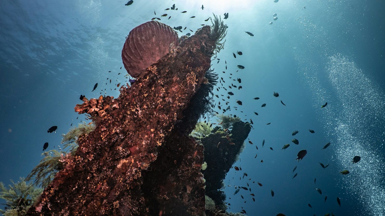 an underwater view of a ship wreck in the ocean