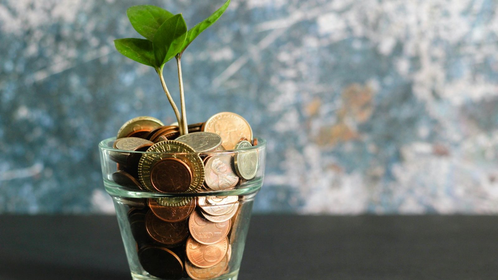 green plant in clear glass vase. 10 Powerful Ways to Teach Your Kids About Money