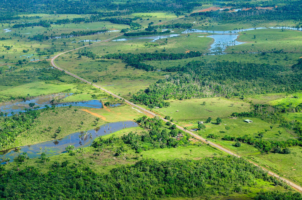 amazon rainforest, Ecological tipping points may approach ahead of predictions