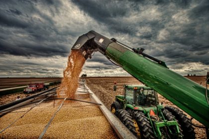 Corn being loaded into a truck