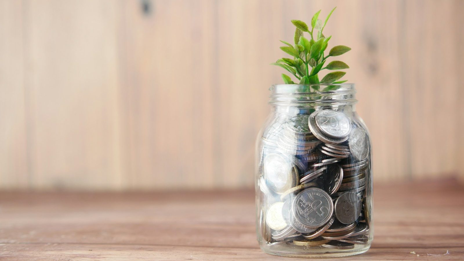 a glass jar filled with coins and a plant, 10 Life-Changing Tips for Building an Emergency Fund