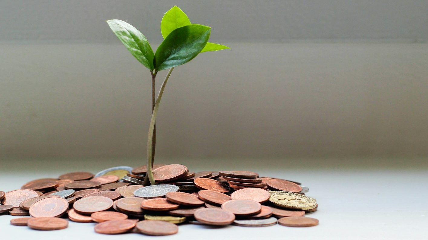 green plant on brown round coins, 10 Shocking Financial Mistakes That Could Ruin You