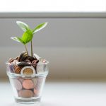 green plant in clear glass cup