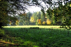 Herfstwandeling langs Orke