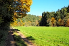 Herfstwandeling langs Orke