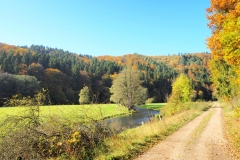 Herfstwandeling langs Orke