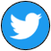 Icon - Twitter