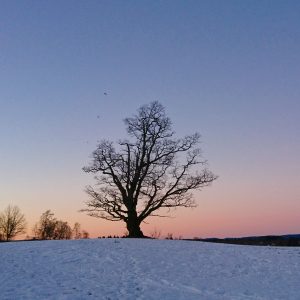 Første dag i ny jobb!