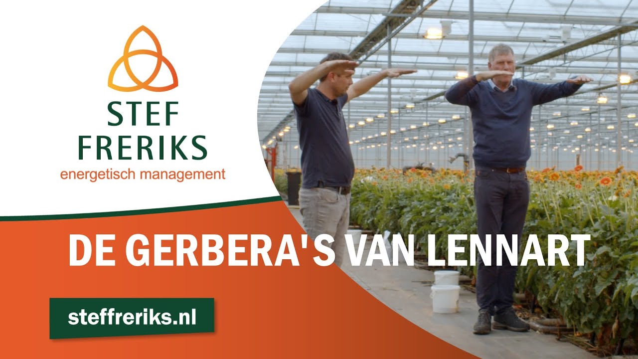 Portretten | Gerbera's van Lennart