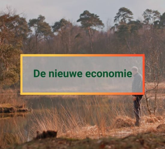 Nieuwe Economie header