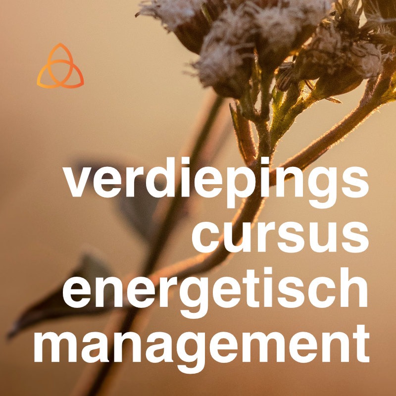 Verdiepingscursus