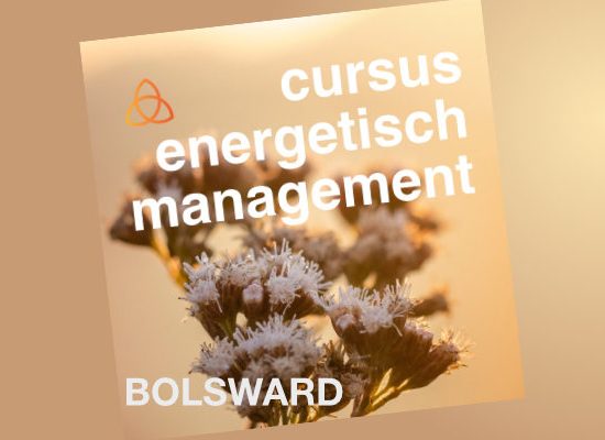 Cursus EM in Bolsward