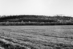 013_Lundflata_Eggeskogen_1980