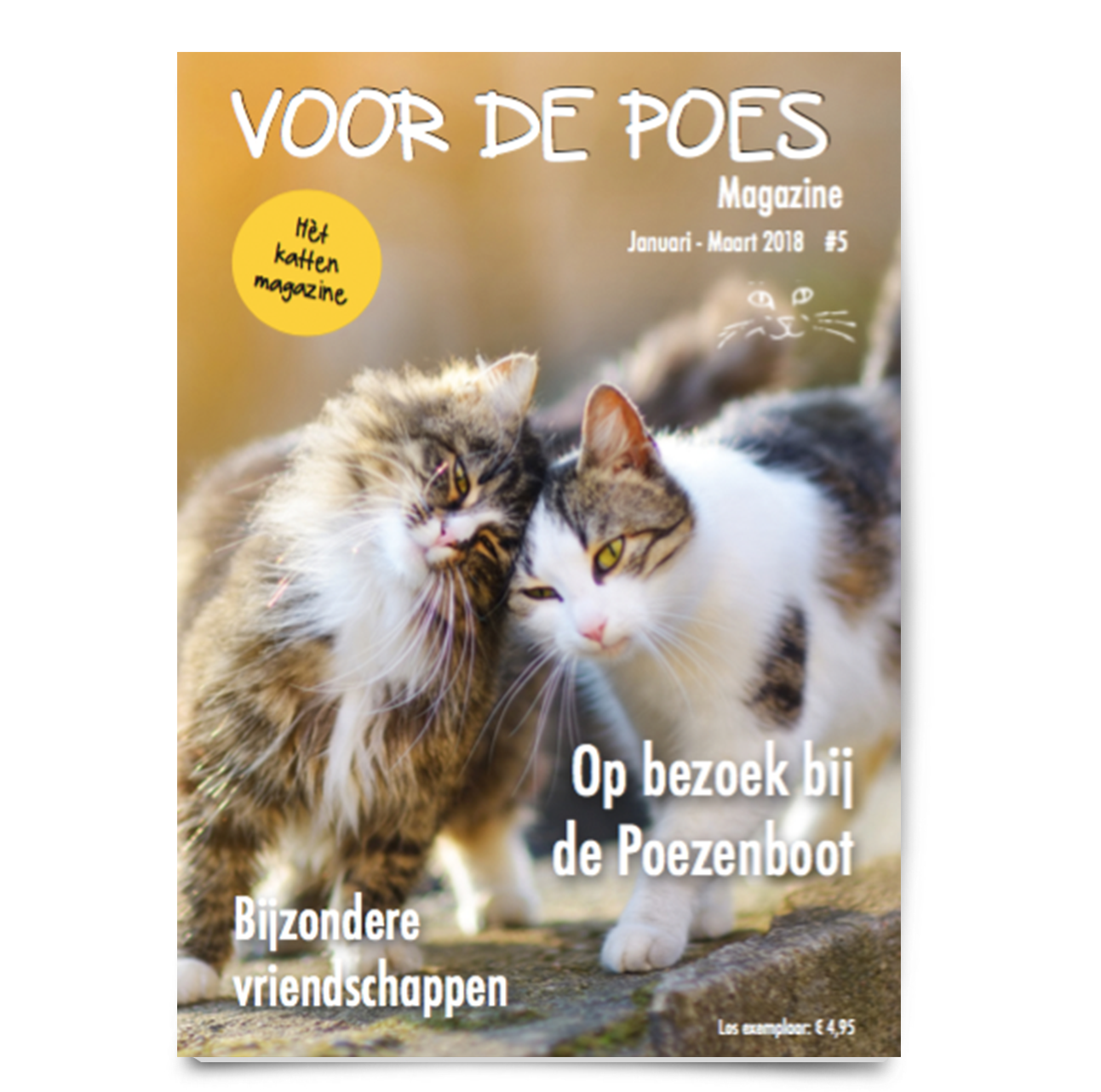 Kattentijdschrift Voor de poes - Stenen urnen voor huisdieren