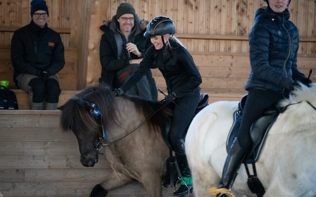 Krummi från Stenholmen