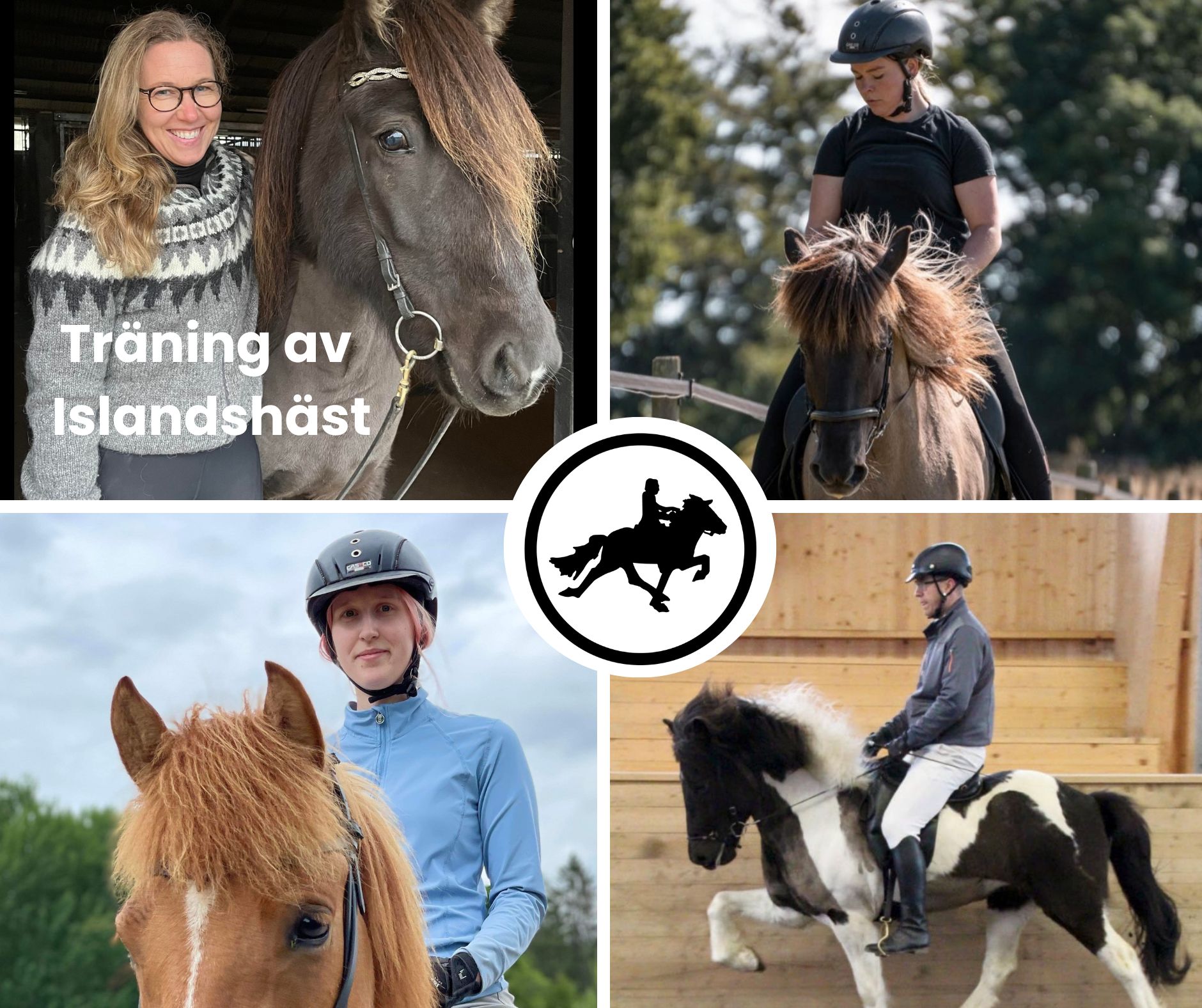 träning2025.vers2