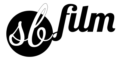 Stephan Bleek Logo