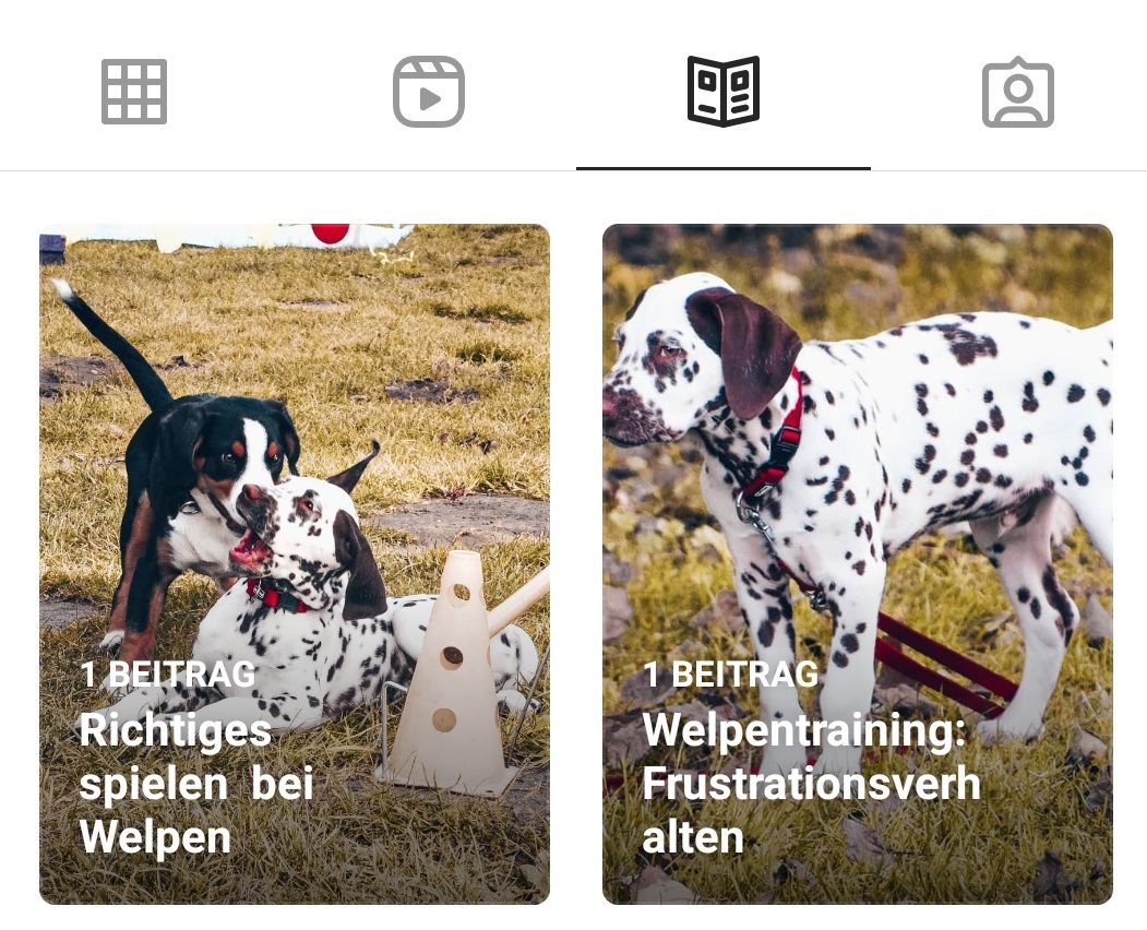 Insta Sehen Wer Auf Meinem Profil War