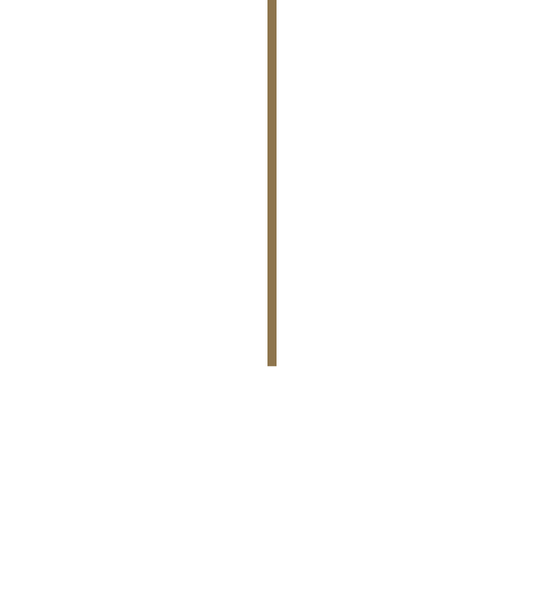 GOLDVEIN INTERIORS Logo