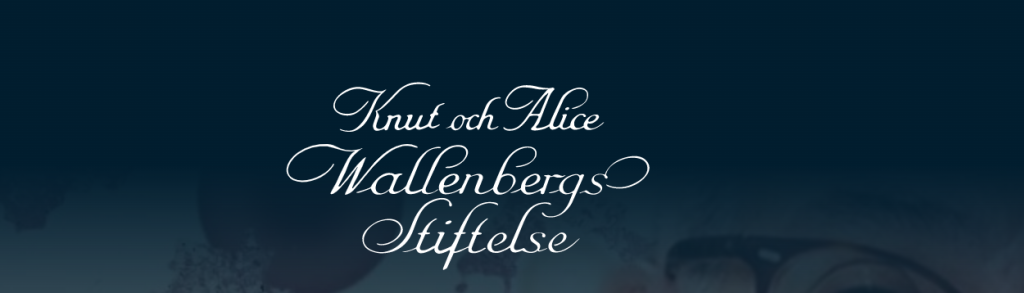 Knut och Alice Wallenbergs stiftelse 802005-9773 - stiftelser.nu