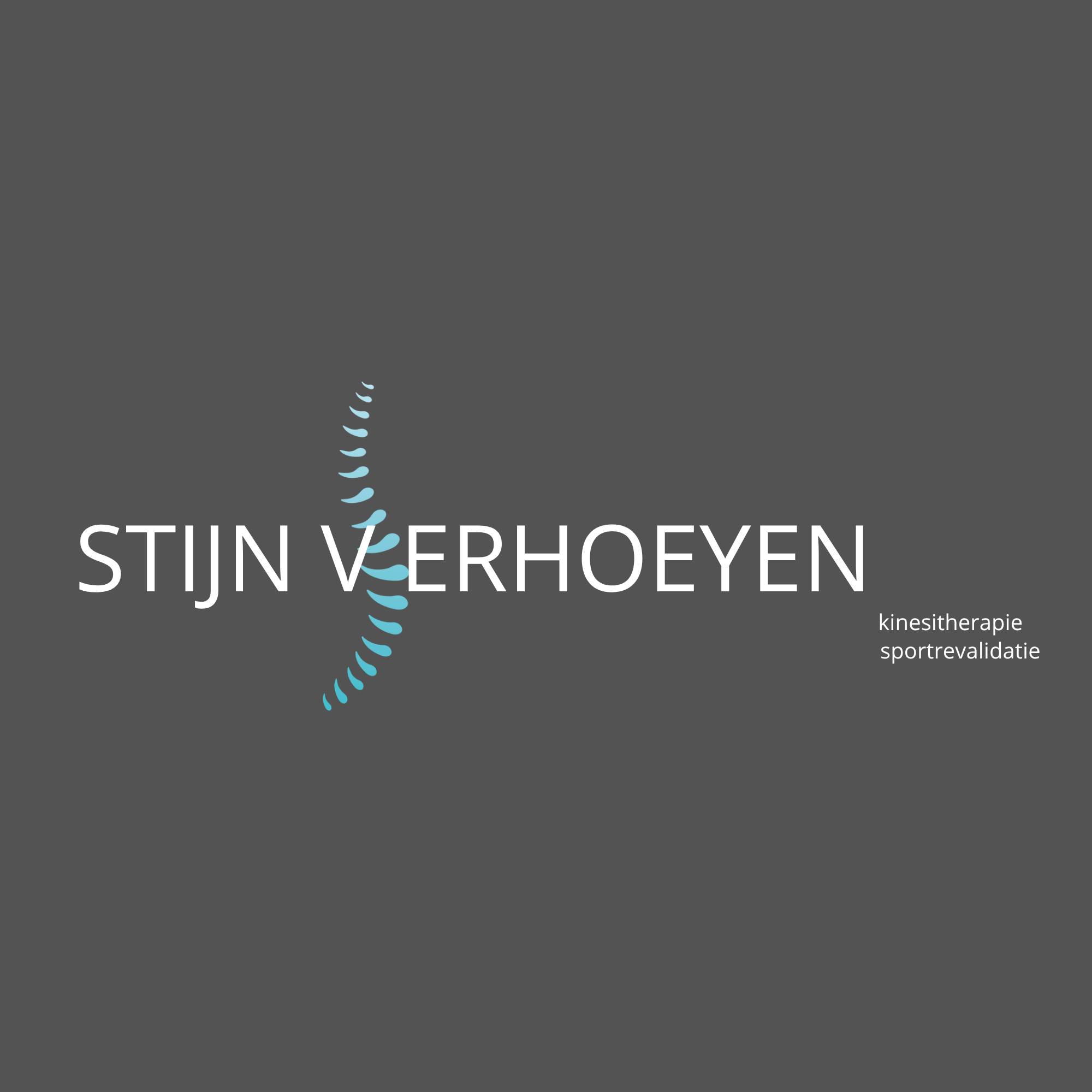 Kinesitherapie Stijn Verhoeyen
