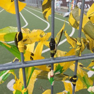 IMG_0737