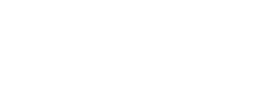 Stingray Digital | Retail and Ecommerce Consultants