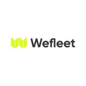 Color logo for Website WeFleet
