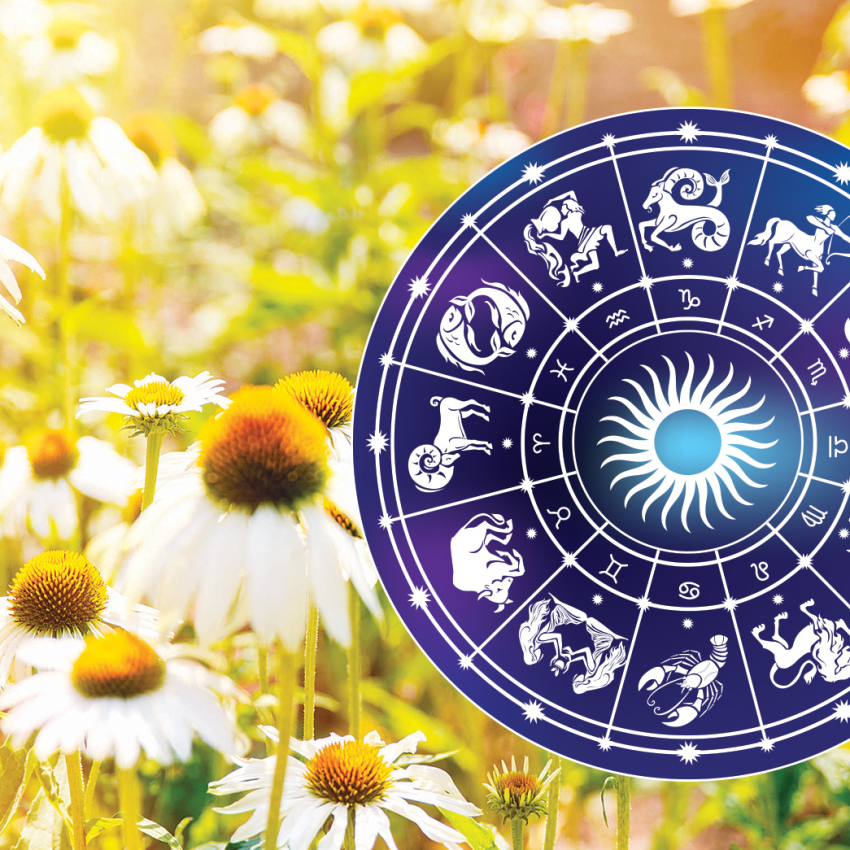 NEDELJNI HOROSKOP OD 1. DO 7. MAJA 2017: Vaga sreće ljubav iz snova na putu, neočekivan poslovni predlog za Vodoliju, prolazne finansijske teškoće za Škorpiju NEDELJNI HOROSKOP OD 1. DO 7. MAJA 2017: Vaga sreće ljubav iz snova na putu, neočekivan poslovni predlog za Vodoliju, prolazne finansijske teškoće za Škorpiju