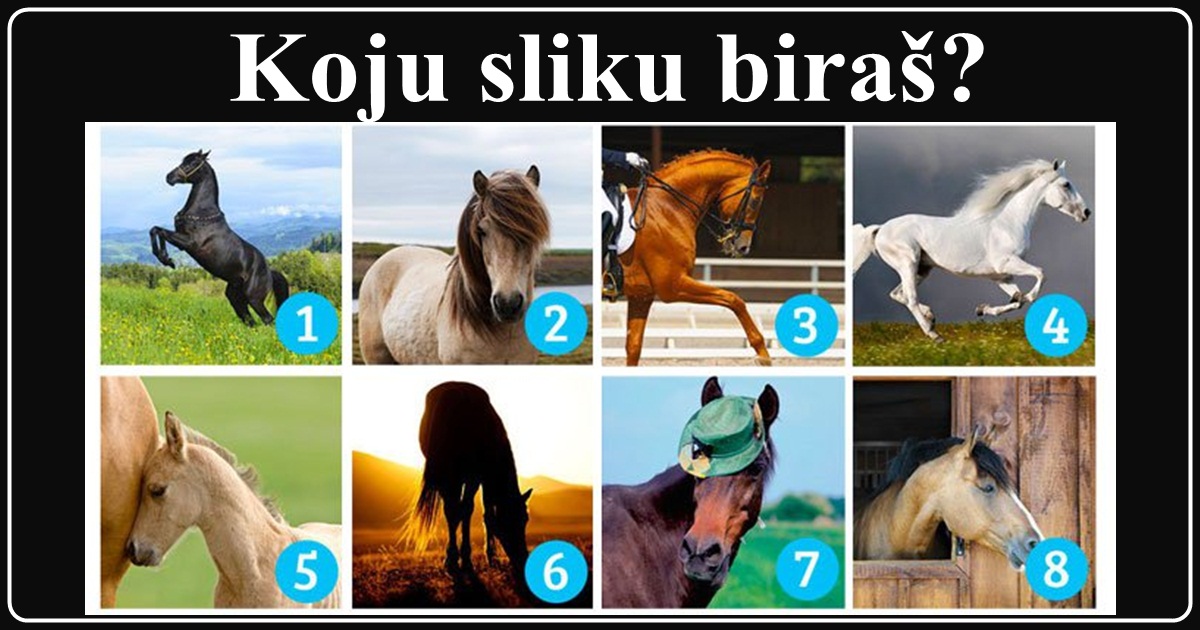 Koji konj vam je NAJLEPŠI? Odaberi JEDNOG i saznaj hoće li ti se OSTVARITI TAJNE ŽELJE Koji konj vam je NAJLEPŠI? Odaberi JEDNOG i saznaj hoće li ti se OSTVARITI TAJNE ŽELJE