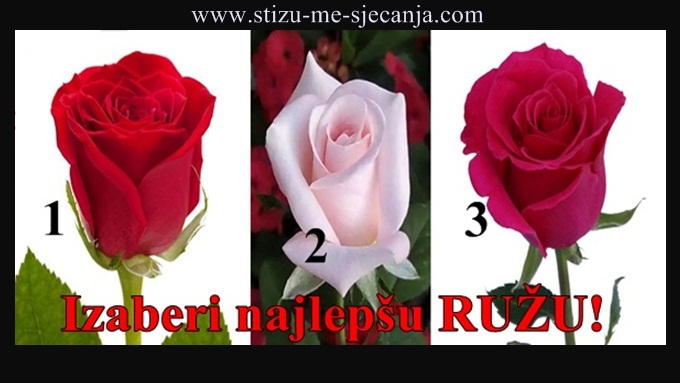 Izaberi najlepšu RUŽU i saznaj kako da pronađeš PRAVU LJUBAV