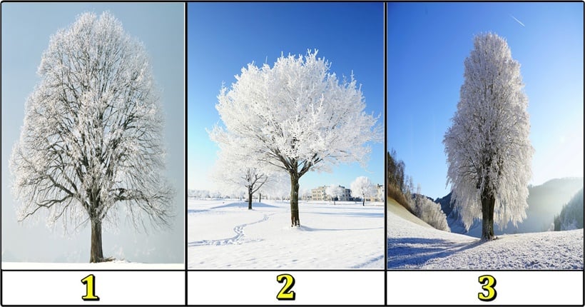 Februarsko drvo srece-izaberi jedno i saznaj hoces li imati srece do kraja meseca! Februarsko drvo srece-izaberi jedno i saznaj hoces li imati srece do kraja meseca!