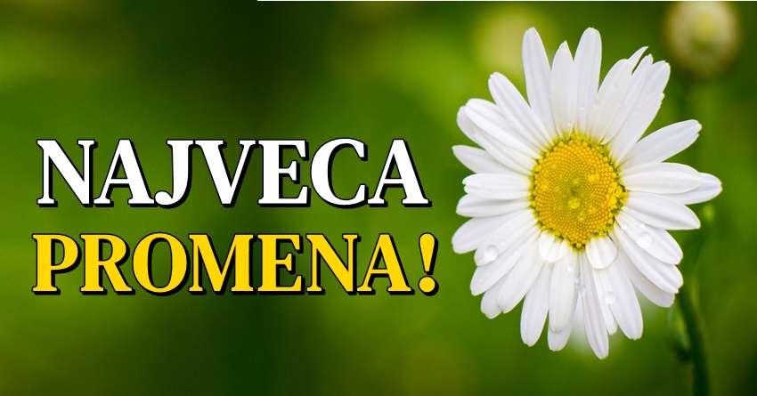 Zivot ovih znakova se MENJA NA BOLJE,iako oni nisu spremni da DONOSE VELIKE ODLUKE! Zivot ovih znakova se MENJA NA BOLJE,iako oni nisu spremni da DONOSE VELIKE ODLUKE!